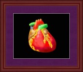 heart colored image healthtips images